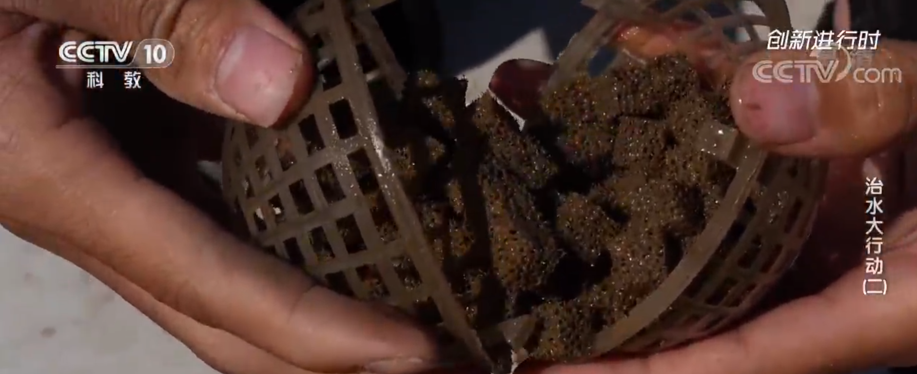 技術(shù)推廣-鄭茂盛教授企業(yè)合作研發(fā)的水處理技術(shù)應用被央視報道
