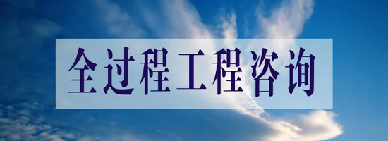 公司重心主要從事項目前期咨詢(xún)